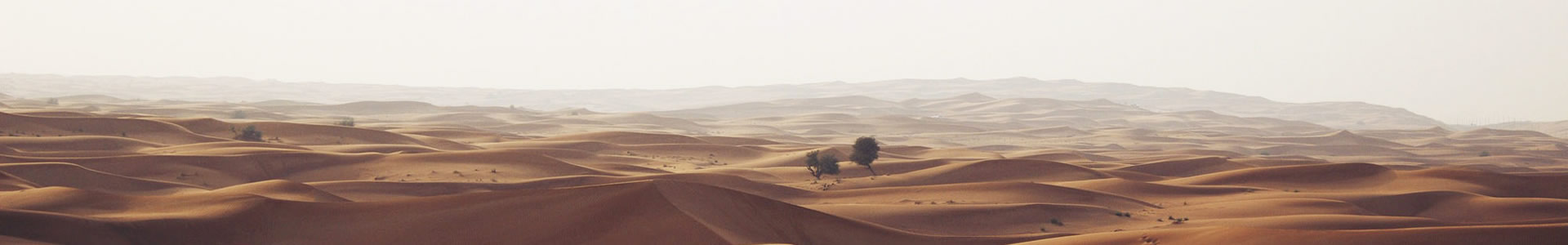 人ȻƼ޹˾